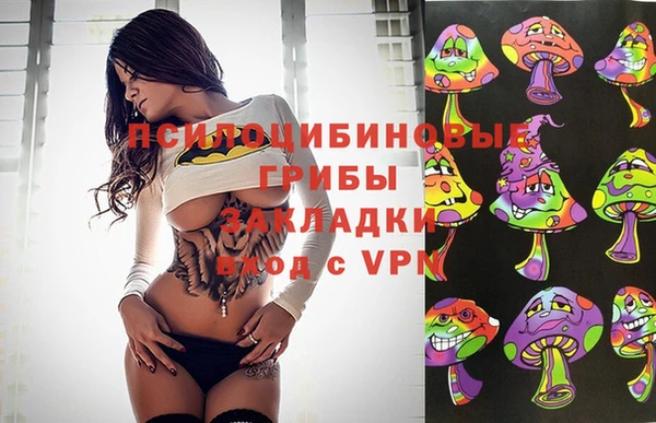 бутират Алексеевка