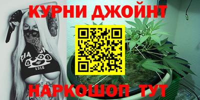 гидра Моздок