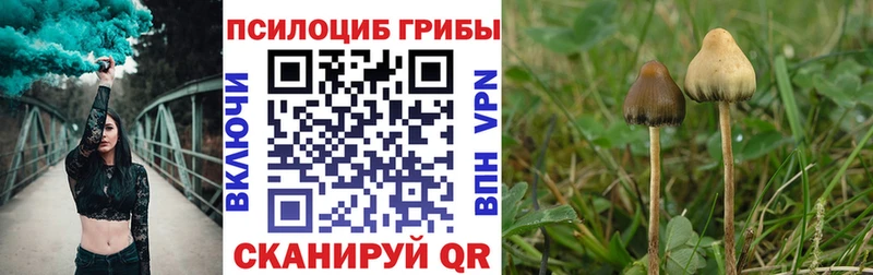 Псилоцибиновые грибы ЛСД  Узловая 