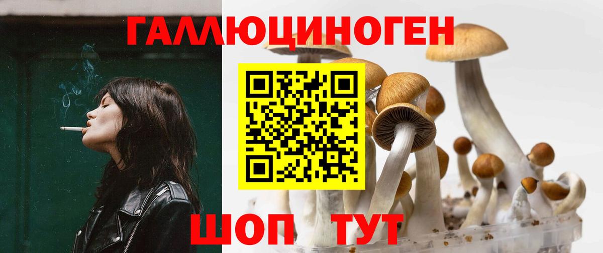 Псилоцибиновые грибы мухоморы  Вход с VPN  Галлюциногенные грибы мухоморы  Узловая 